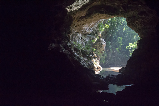 Looking out of the dark Rio Frio Cave in Belize of the jungle outside.  There is water running through the large cave.  The cave is a tourist destination in Belize.  The jungle outside the cave appears hazy and warm.