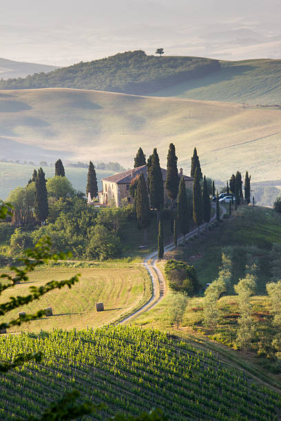a paisagem tuscan - tuscany italy sunrise rural scene imagens e fotografias de stock