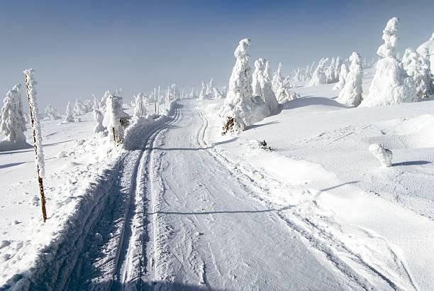 istock wintry landscape scenery with modified cross country skiing way 539140199