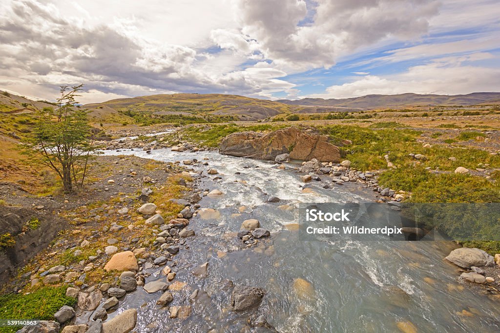 Wild River in the Patagonian Highlands Rio Ascencio in Torres del Paine National Park in Chile 2015 Stock Photo