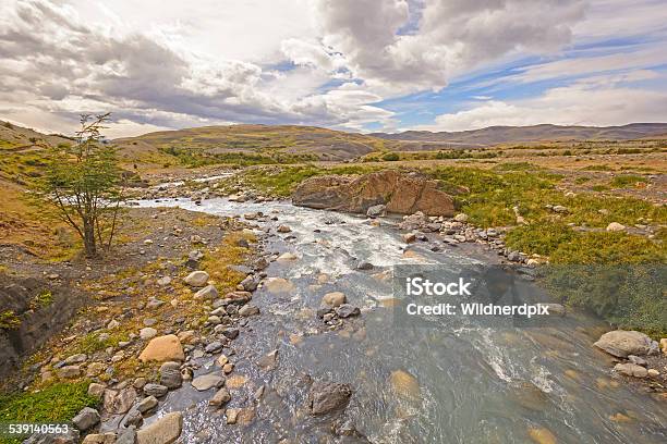 Wild River In The Patagonian Highlands Stock Photo - Download Image Now - 2015, Awe, Beauty In Nature