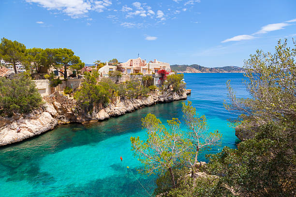 istock Cala Fornells View in Paguera, Majorca 539141163