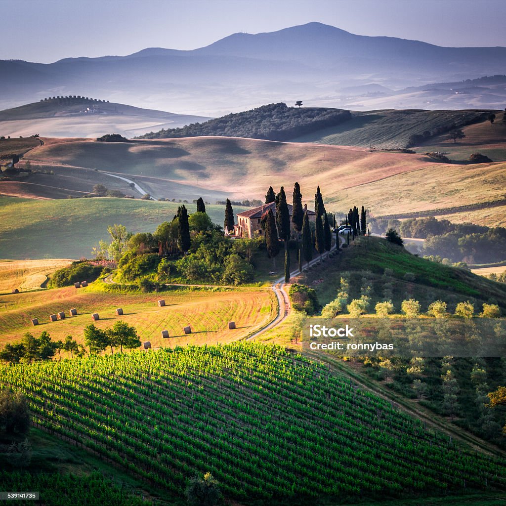 The Tuscan Landscape Tuscan morning in Val d'Orcia Road Stock Photo