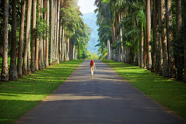 istock The girl walking away 539149419