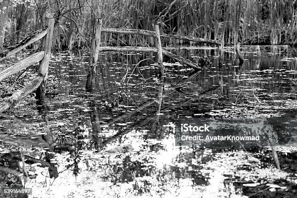 Flooded Trail Stock Photo - Download Image Now - 2015, Accidents and Disasters, Black And White