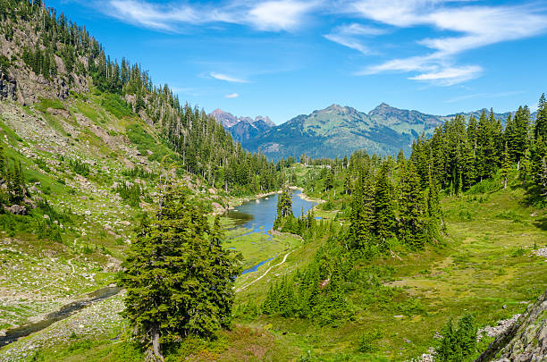istock Mount Baker, Canadian Rockies 539165869