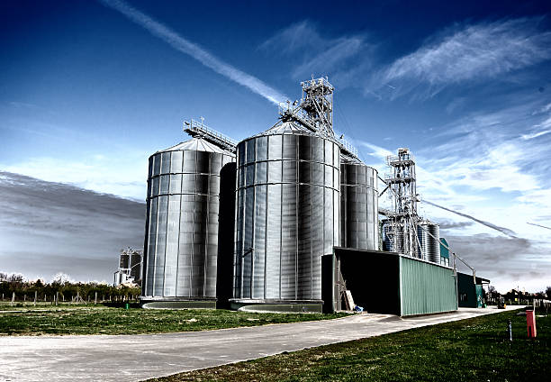 Grain silos Grain silos with warehouse courtyard on sunny day granary photos stock pictures, royalty-free photos & images