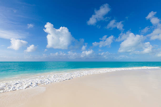 istock beautiful beach in Cayo Largo del Sur, Cuba 539181431