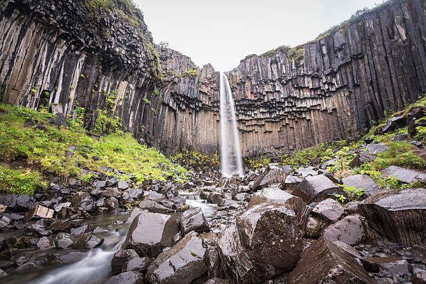 istock Svartifoss, stunning waterfall in Iceland 539182341