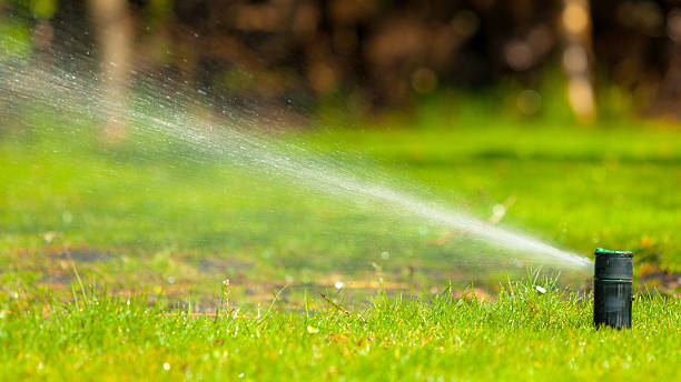 istock Gardening. Lawn sprinkler spraying water over grass. 539182903