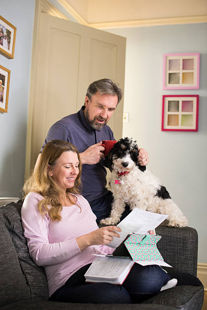istock online pet insurance search 539183243