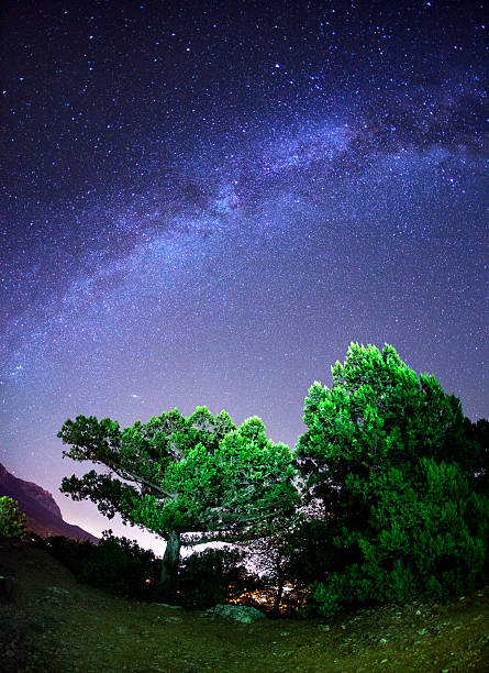 istock Milky Way in Crimea 539183317