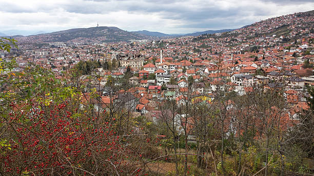 istock Panorama view of Sarajevo 3 539183785