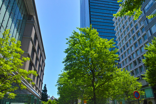 Marunouchi Business District, Fresh Green Tokyo