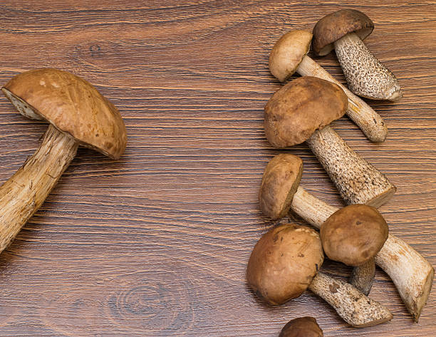 istock porcini mushrooms and boletus 539200640