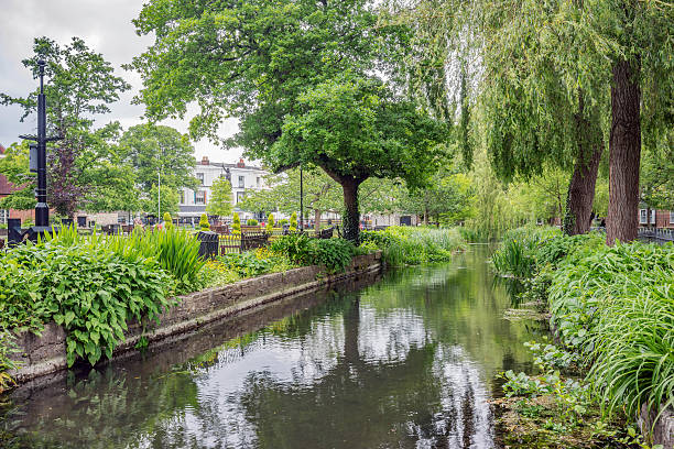 istock River Itchen and gardens in Winchester 539200644