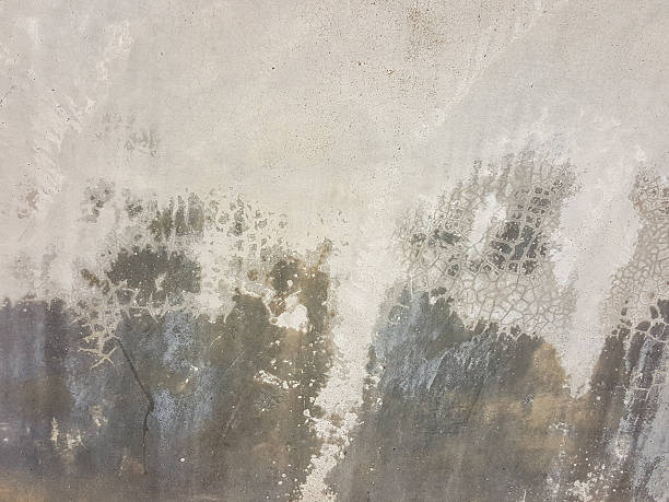 istock grunge stain concrete texture background 539203186