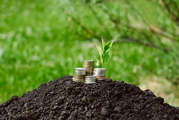 istock rouleau, the symbolizing growth and accumulation 539203878