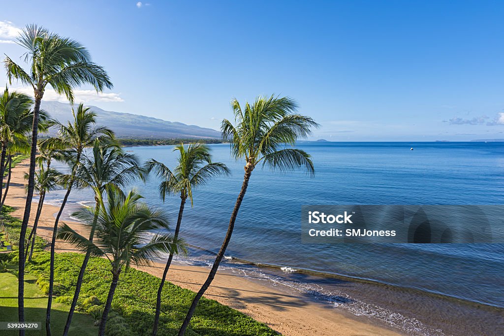 Sugar Beach Kihei Maui Hawaii USA Beach and palms trees in the morning atSugar Beach Kihei Maui Hawaii USA Maui Stock Photo