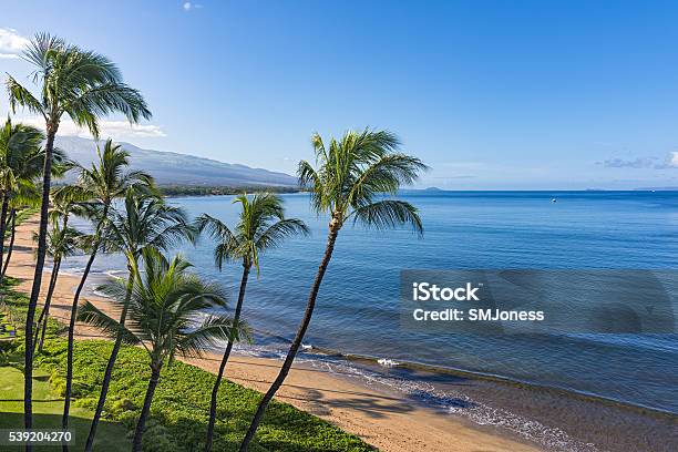 Sugar Beach Kihei Maui Hawaii Usa Stock Photo - Download Image Now - Maui, Kihei, Beach