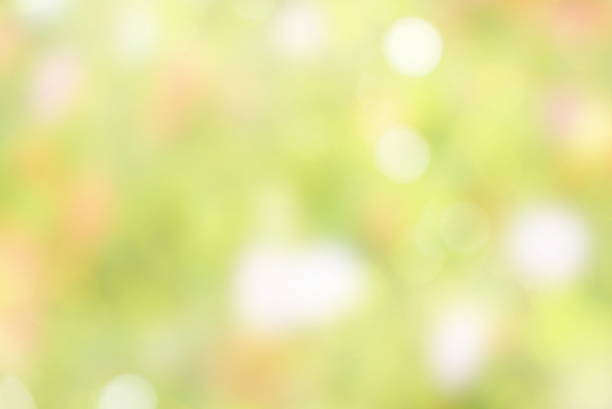istock abstract sweet colorful nature bokeh soft light in pastel background 539204896