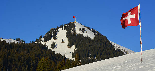 istock Alps mountain landscape , Switzerland with swiss flag 539205967