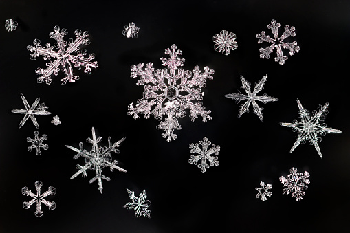 A variety of symmetrical and non-symmetrical snowflakes or crystals fall on a very cold morning in Denver, Colorado.