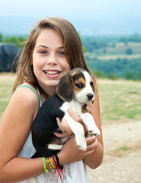 istock Girl with a puppy beagle dog 539206615