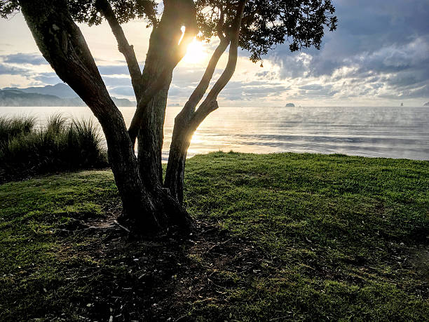 Buffalo Beach stock photo