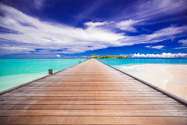 istock Entrance to tropical paradise 539206867
