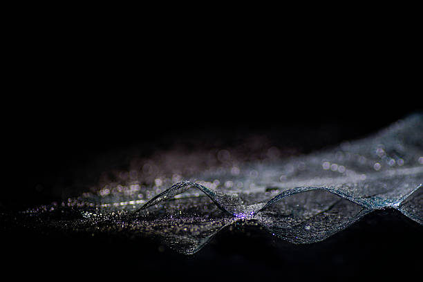 istock Wet Skeleton magnolia leaf, magic bokeh light backgroundWet Skeleton magnolia leaf, magic bokeh light background 539207202