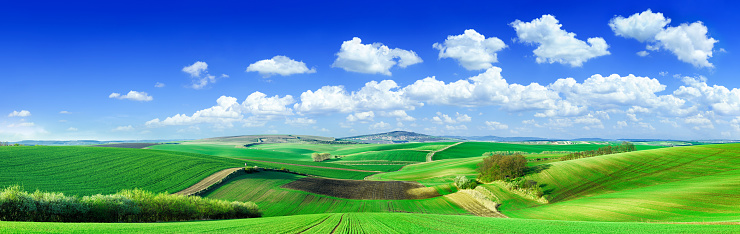 Panorama - Idyllic landscape, green fields, the blue sky and white clouds