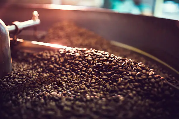 Photo of Coffee Roaster Cooling Batch of Beans