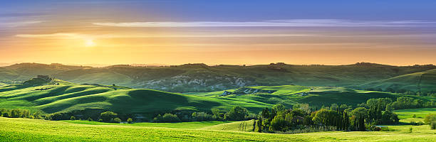 istock Idyllic landscape - Green fields in Tuscany at sunset 539208287