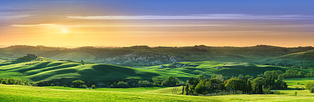 Idyllic landscape - Green fields in Tuscany at sunset stock photo