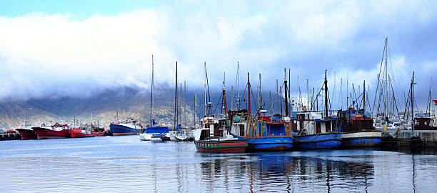istock Fishing harbour in Cape Town 539208902