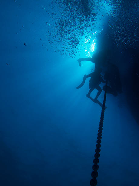 istock Scuba Diving in the sea 539209202