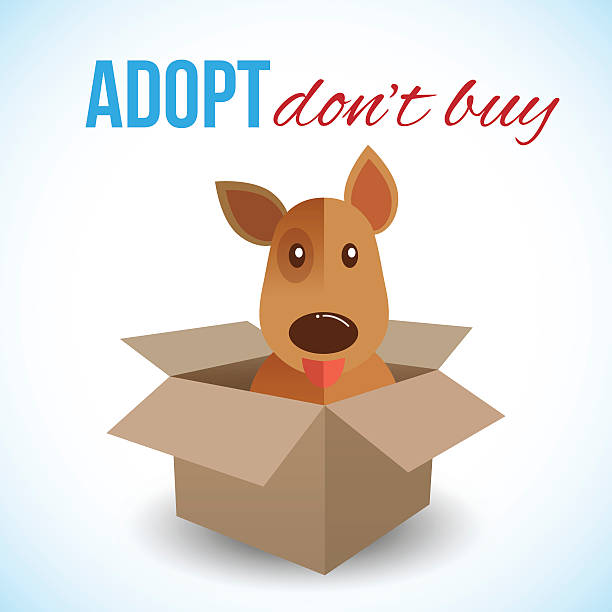 Cute dog in a box with Adopt Don't buy text. Cute dog in a box with Adopt Don't buy text. Homeless animals concept, pets adoption theme. Vector illustration. box of puppies stock illustrations