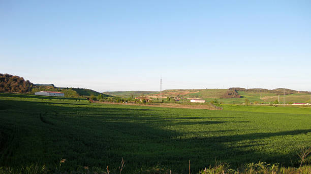 istock Summery landscapes 539213696