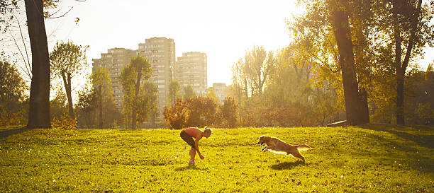 junge frauen spielt mit ihrem hund - action dog outdoors animal trainer stock-fotos und bilder