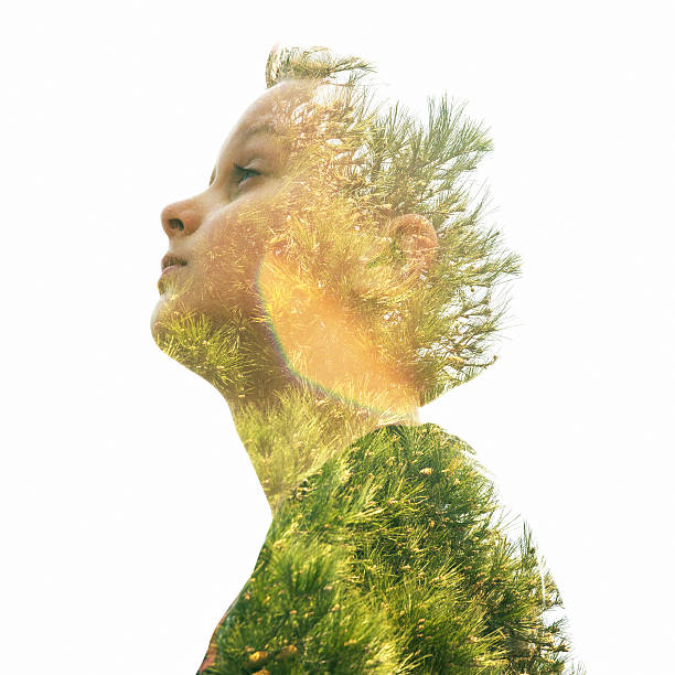 double a exposição de um jovem rapaz e pinheiro - contemplation silhouette tree men imagens e fotografias de stock