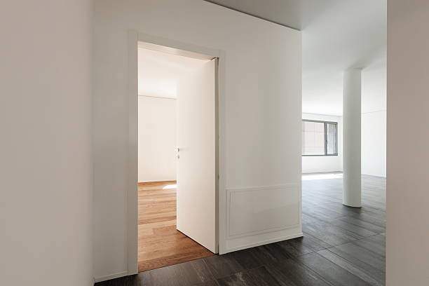 istock Interior, corridor with one doors 539214798