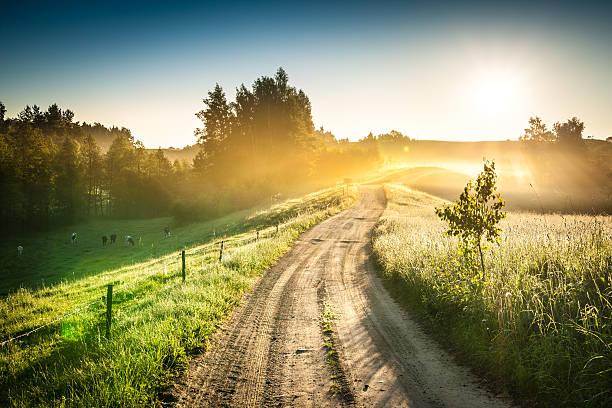 país de la mañana de camino a través del hermoso paisaje de niebla-colorida puesta de sol - meadow single lane road nature field fotografías e imágenes de stock