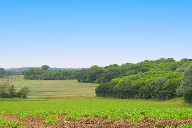istock rural countryside landscape green field view background summer 539215170