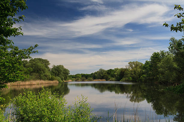 istock Nature reserve Enkheimer Ried, Frankfurt 539215292
