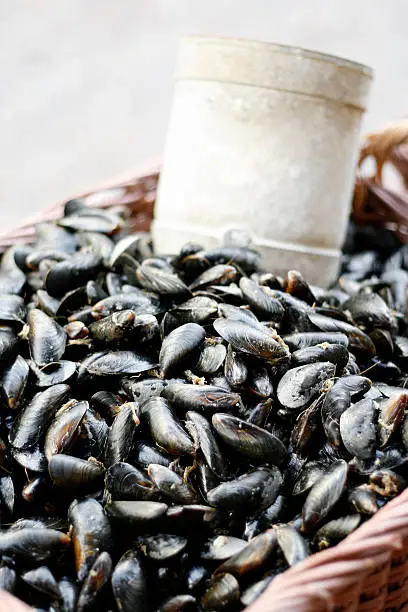 A basket of fresh, raw mussels on display at a farmer's market in Paris.