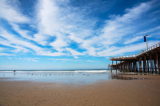 istock Pismo Beach Pier and Boardwalk 539217483