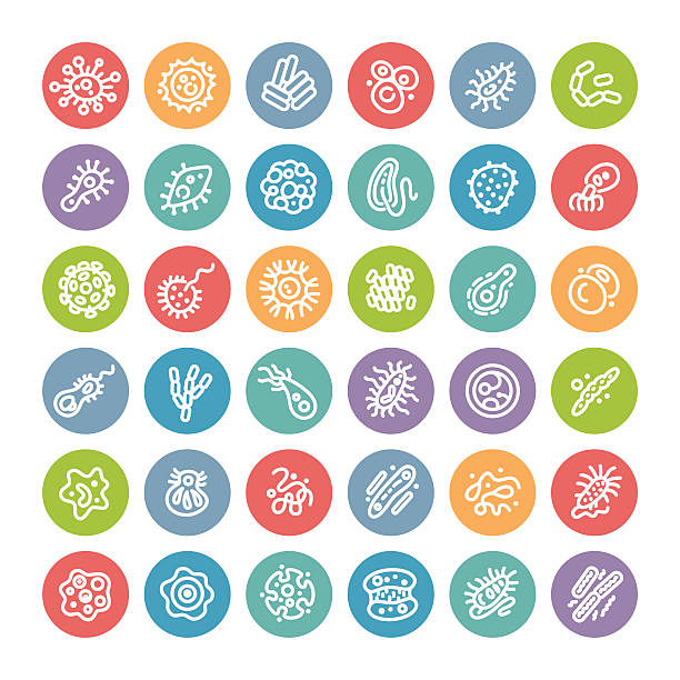 Set of Flat Round Icons with Bacteria and Germs Set of Flat Round Icons with Bacteria and Germs for Medical Design. Isolated on White Background. Clipping paths included in additional jpg format. laboratory bacterium petri dish cell stock illustrations