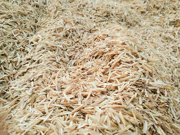 istock Detail of rice husks for background 539217878