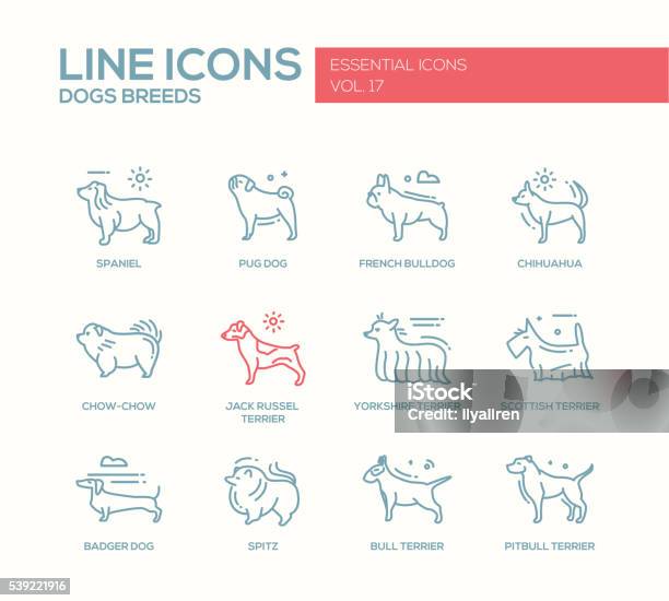 Dog Breeds Line Design Icons Set Stock Illustration - Download Image Now - Dog, Dachshund, Yorkshire Terrier